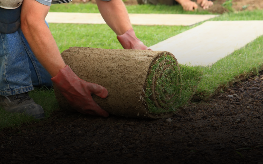 Sod Installation